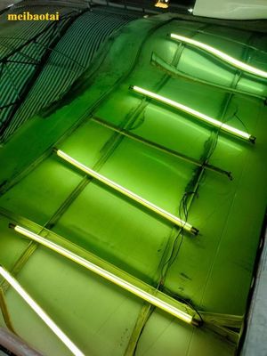 अच्छी कीमत हरी दर्पण रंग शीट पीवीडी कोटिंग सजावट स्टेनलेस स्टील प्लेट ऑनलाइन